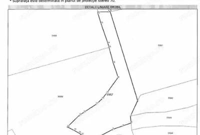 Teren 5000 mp, Loc. Sieu, Jud Maramures - 3