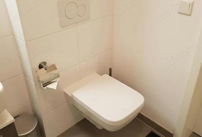 Garsonieră în Badea Cârțan - 4