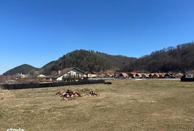 Teren de 800 mp, în Central - 3