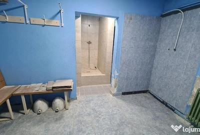 Spațiu comercial, de 150 mp, în Fortuna - 6