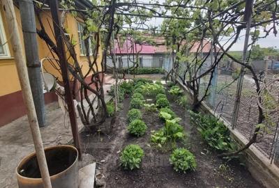 Casă individuală cu 3 camere cu Canalizare în Ceanu Mic - 30