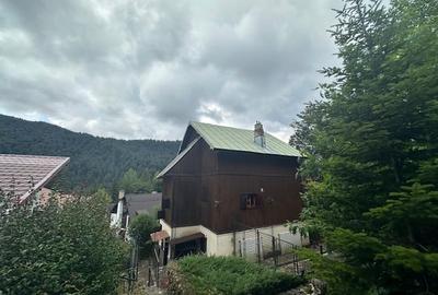 Azuga - Strada Garbovei - 3