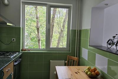 Apartament cu 2 camere semidecomandat în Pajura - 3