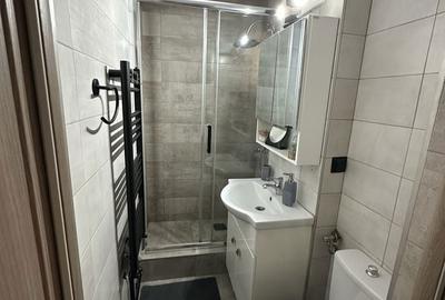 Apartament cu 3 camere decomandat în Dâmbu Pietros - 3