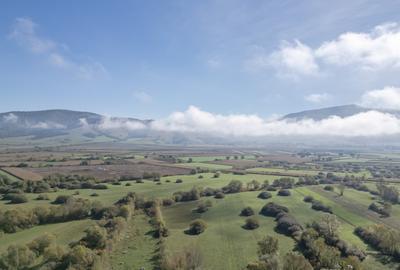 Proprietate rara in Covasna - liniste, spatiu si potential de investitie - 15