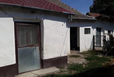 Casă cu 4 camere cu Teren 1130 Mp în Uivar - 13