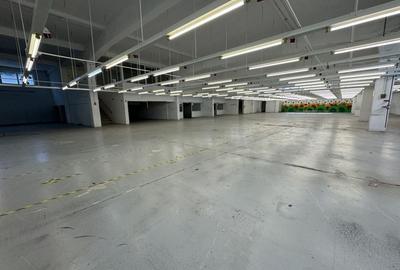 Hala productie P+1 si apartament de serviciu Navodari - c-tie beton - 7