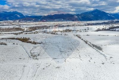 Teren agricol extravilan de 8329 mp, în Glăjărie - 12