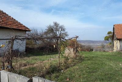 Vand case ?i terenuri la tara - 3
