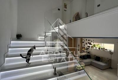 De vanzare in Dumbravita - unitate in triplex modern De vanzare in Dumbravita - unitate in triplex modern - 13