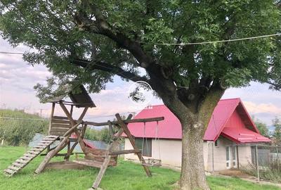 Teren de 6800 mp, în Mogoșești - 2