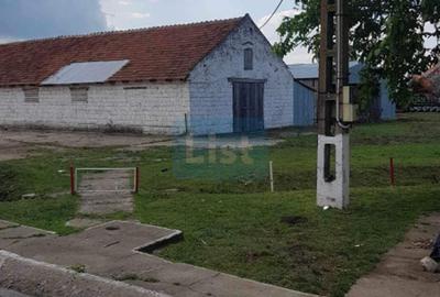 Casă cu 3 camere cu Teren 24281 Mp în Ciortea - 3