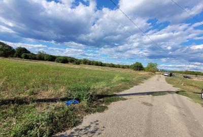 Teren intravilan cu PUZ, situat in Targu-Jiu, Slobozia - 4