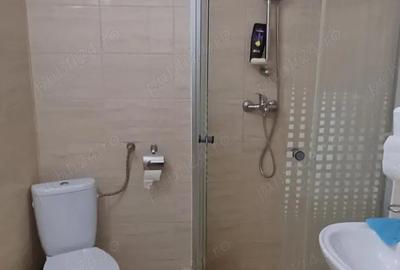 Garsoniera mobilata Zona Padurea Verde Continental, Timi?oara Garsoniera mobilata Zona Padurea Verde Continental, Timi?oara - 2