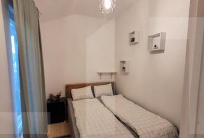 CABANA LA 3 INSULE CU IESIRE LA MURES LA PRET DE GARSONIER - 4