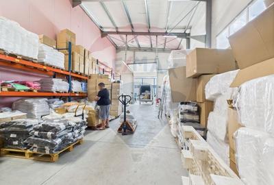 Spațiu industrial, de 472.66000366211 mp, în Theodor Pallady - 18