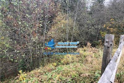 Teren 850 mp Predeal Cioplea - Belvedere - 2