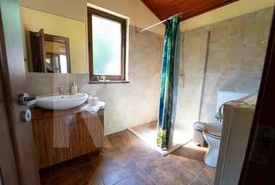 4 Casute de vacanta cu teren de 2000 mp liberi Cisnadioara - 7