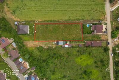 Teren construibil Balotesti, Str. Orhideelor, 1240 mp - 10