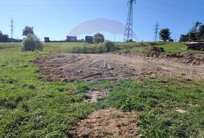 Teren Construcții intravilan de 2421 mp, în Periferie - 16