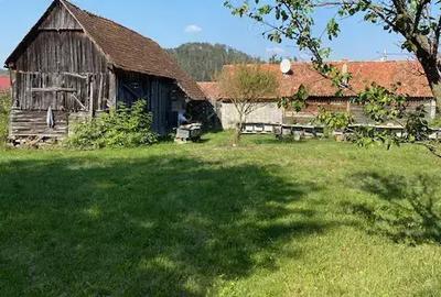 Vand casa de lemn cu gradina si teren de casa in mijlocul tarii, in sat Jimbor, jud.Brasov - 3