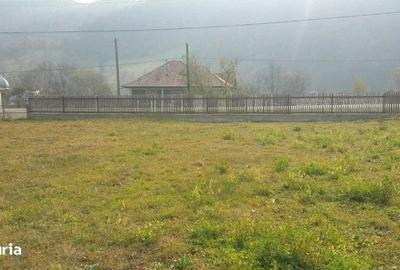 Teren de 1427 mp, în Ceahlău - 6