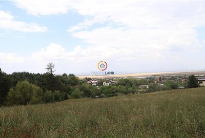 Teren Construcții intravilan de 1195 mp, în Babarunca - 3
