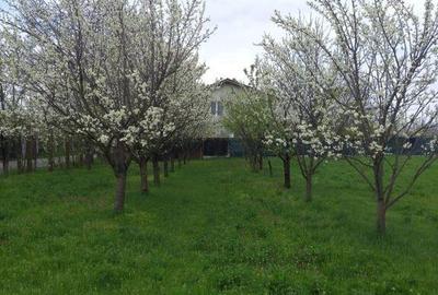 Teren 2000 mp DN2 Lilieci 25Euro/mp langa Bucuresti - 2