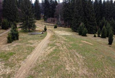 Teren intravilan de 1000 mp, în Poiana Brașov - 9