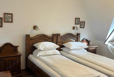 Casă cu 11 camere în Horodnic - 3