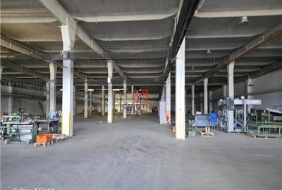 Depozit/hala/spatiu industrial Buftea - DN1A, ILFOV - 1