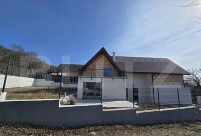 Casa de vanzare, 4 camere, 202 mp, Langa Padure Casa de vanzare, 4 camere, 202 mp, Langa Padure - 5