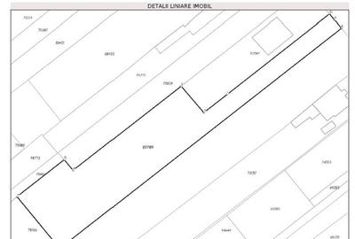 Teren Intravilan Miroslava 1640mp - 6