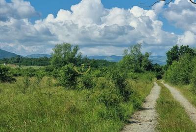 Teren de vânzare în Calea Cisnădiei, Sibiu - 550 mp, PUZ aprobat, vedere superbă - 11