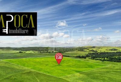 Teren Construcții intravilan de 20000 mp, în Bonțida - 2