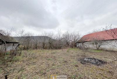 Teren de 3252 mp, în Tauț - 11