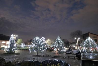 Orhideelor, Dudu, Chiajna - 5