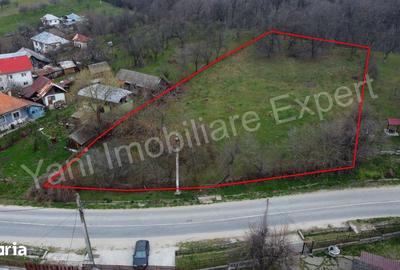 Teren de 2674 mp, în Cepari - 1