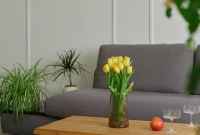 Apartament cu 3 camere decomandat, mobilat în Zorilor - 5