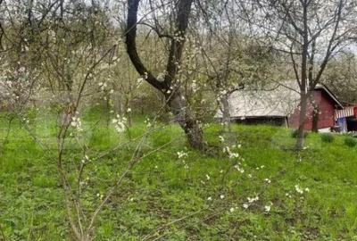Teren de 784 mp, în Nistorești - 5