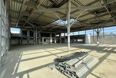 Spațiu comercial, de 35,092 mp, în Valu lui Traian - 4