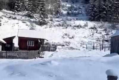 Teren de 6000 mp, în Ortoaia - 6