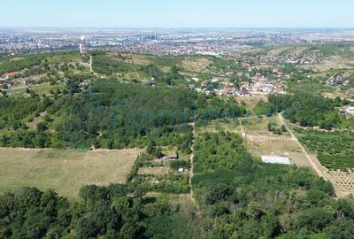 Teren Construcții intravilan de 1200 mp, în Paleu - 6