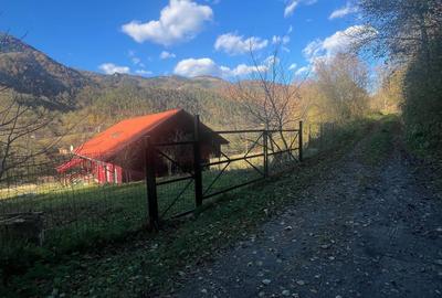 Casă cu 4 camere în Vidolm - 7