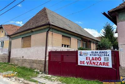 Spațiu comercial, în Bixad - 3