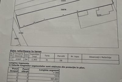 Spațiu comercial, în Sălicea - 3
