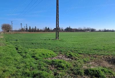 Teren de 20000 mp, în Șagului