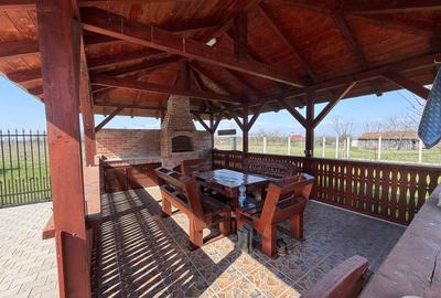 Casă cu 3 camere în Sudriaș - 13