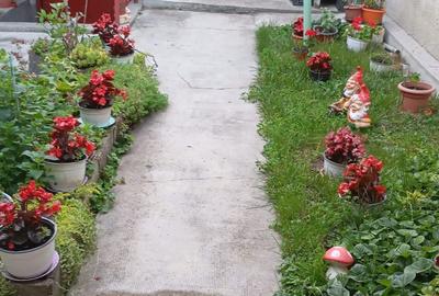 Casă cu 3 camere în Dosu Bricii - 4
