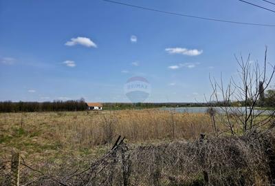 Teren Construcții intravilan de 7000 mp, în Girov - 7